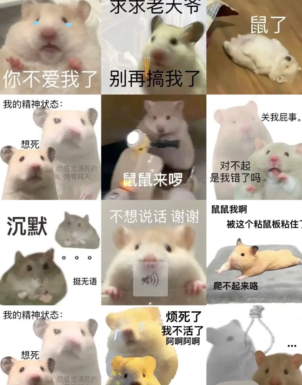 从MBTI到SBTI：当代年轻人为何爱上荒诞自嘲与毛坯生活？（组图） - 2