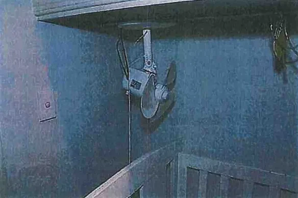 澳洲12岁女童惨死衣柜，体重仅7kg！生母及其伴侣被控谋杀（组图） - 3