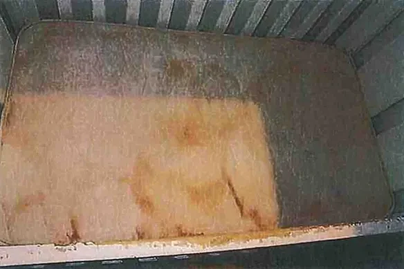 澳洲12岁女童惨死衣柜，体重仅7kg！生母及其伴侣被控谋杀（组图） - 6
