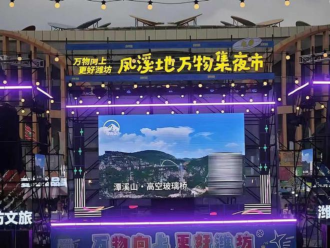 欠下4亿货款后跑路！被资本热捧的“女版刘强东”，怎么彻底凉了？（组图） - 6
