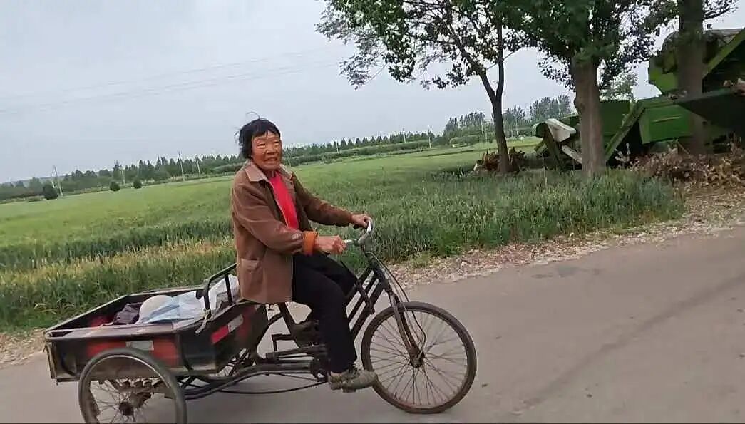 在河南农村,有10元/小时的活干是一种福利(组图) - 12