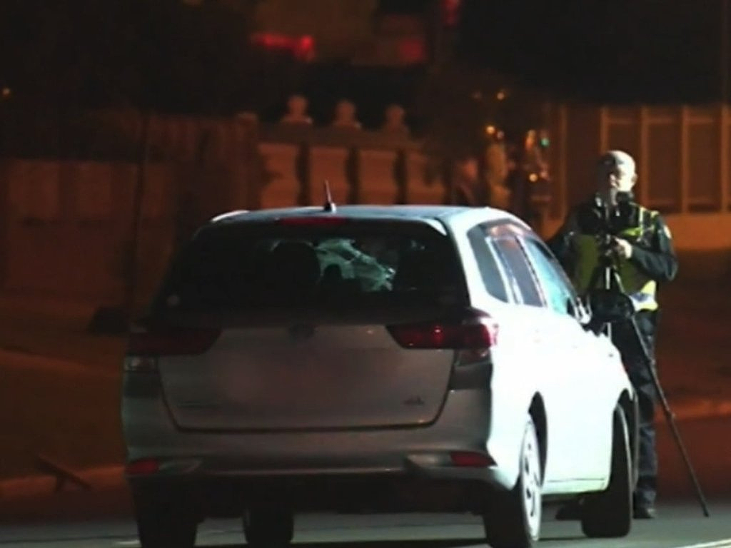 珀斯惨烈一幕！男子马路遛狗被撞飞，重伤不治身亡（组图） - 3