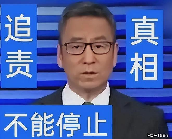 贬低全红婵、移居国外、儿子入英国籍？白岩松到底动了谁的蛋糕（组图） - 1
