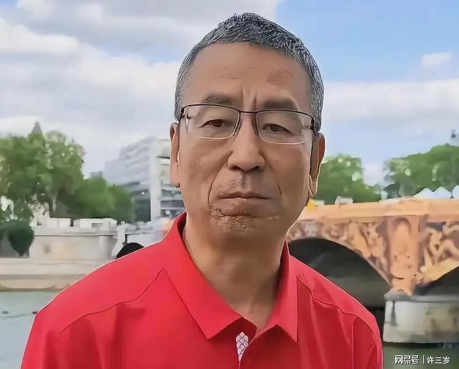贬低全红婵、移居国外、儿子入英国籍？白岩松到底动了谁的蛋糕（组图） - 2