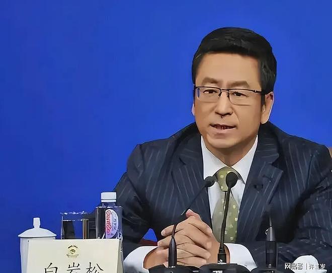 贬低全红婵、移居国外、儿子入英国籍？白岩松到底动了谁的蛋糕（组图） - 7
