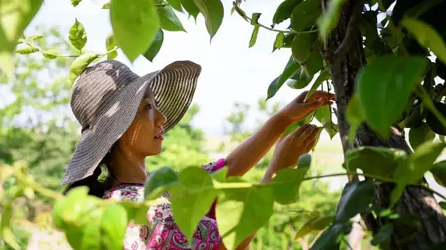顶住仇恨浪潮,韩国女性作家的畅销书正在崛起(组图) - 2