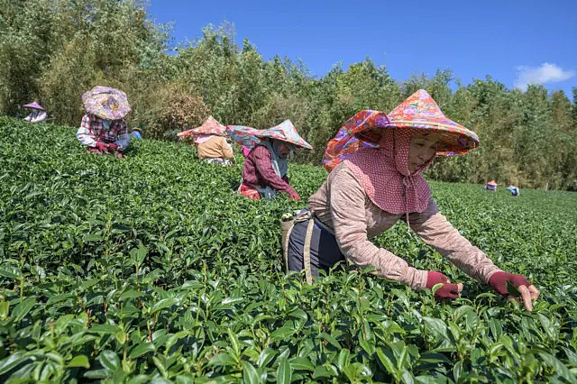 缺工、失联、种族歧视：一场印度移工争议，揭开台湾的三重困境（组图） - 6