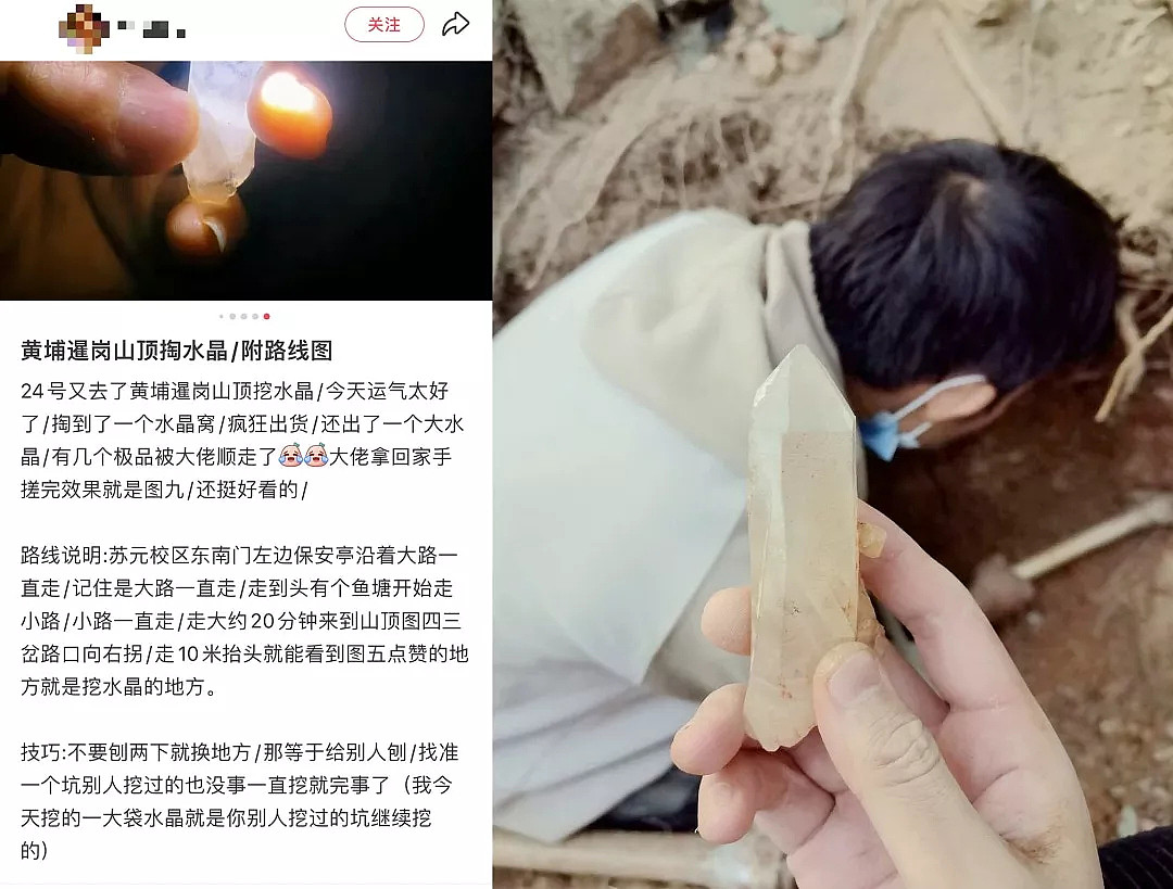 广州现挖水晶乱象,树根被掏空恐致山崩(组图) - 2