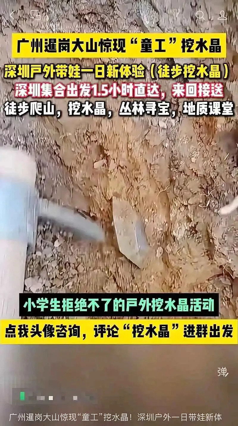 广州现挖水晶乱象,树根被掏空恐致山崩(组图) - 3