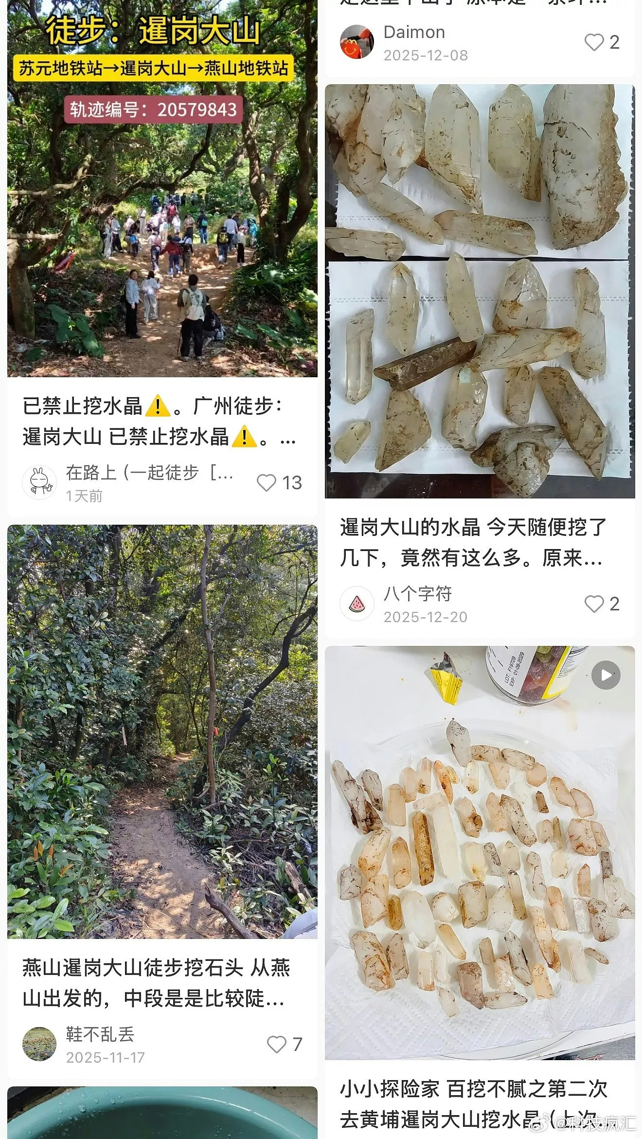 广州现挖水晶乱象,树根被掏空恐致山崩(组图) - 4
