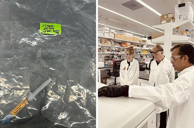 提取26岁孙女细胞！活至122岁！91岁物理学家线粒体移植 - 8
