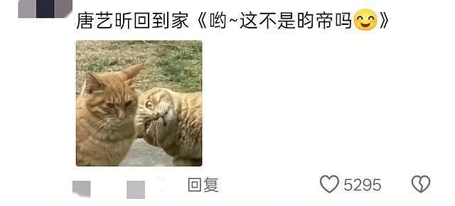 评论区笑不活了！隔着屏幕都替张若昀捏把汗（组图） - 5