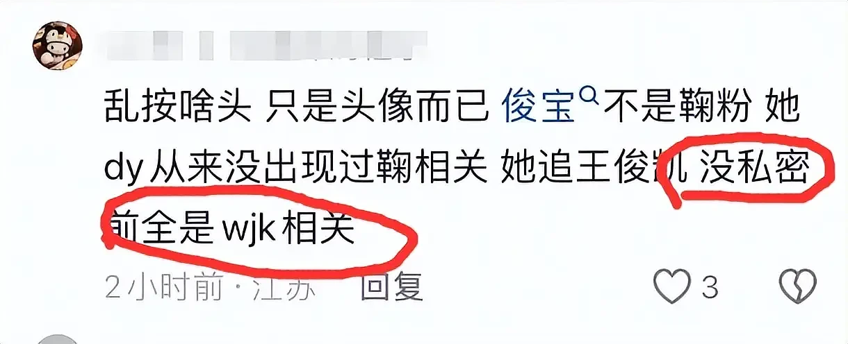 19岁女孩挪用1700万当“榜一大姐”,是王俊凯铁粉(组图) - 10
