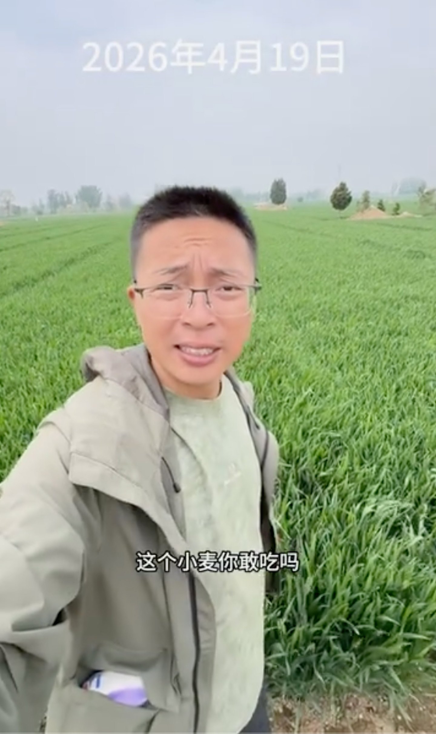 河北红色地下水灌溉麦田,村民不吃自家粮(组图) - 3