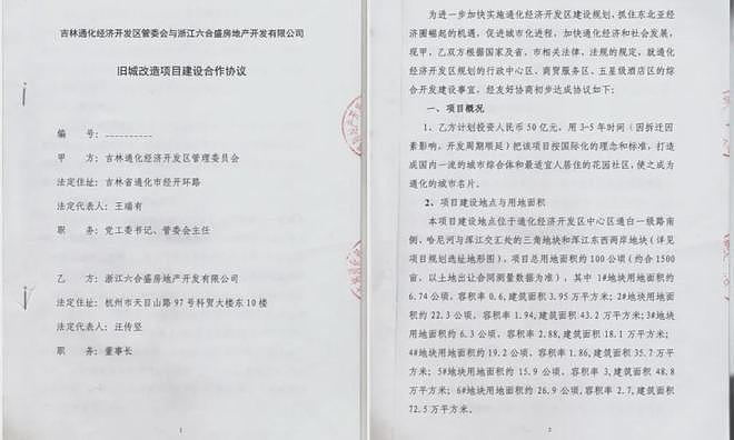 浙商10亿投资吉林通化,16年沦为讨债者(组图) - 2