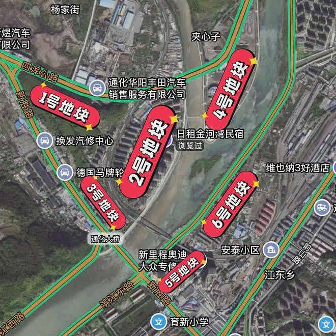 浙商10亿投资吉林通化,16年沦为讨债者(组图) - 3