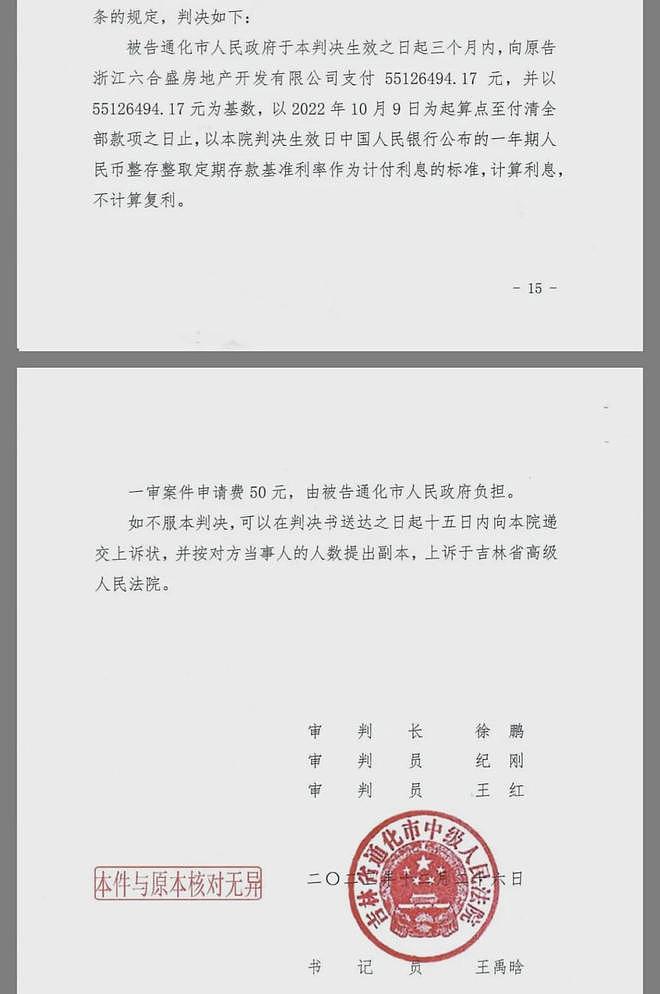 浙商10亿投资吉林通化,16年沦为讨债者(组图) - 9
