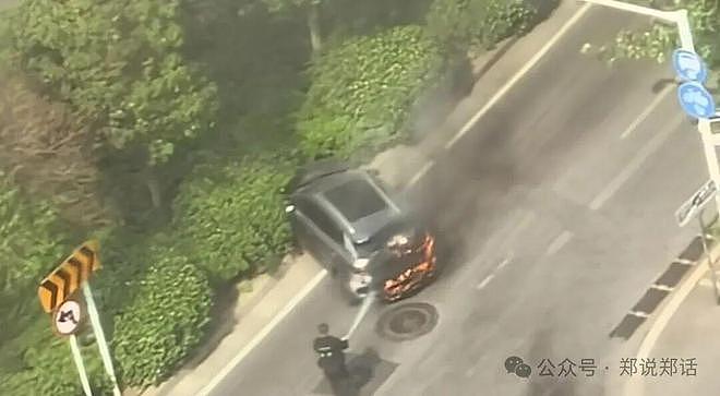 郑州街头车辆发生自燃！车主慌神挪车遭“二次暴击”（组图） - 3