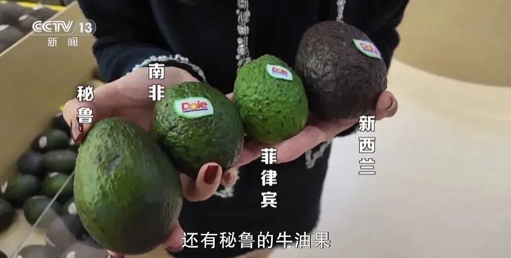 论斤卖的蓝莓，猪都快吃腻了（组图） - 12