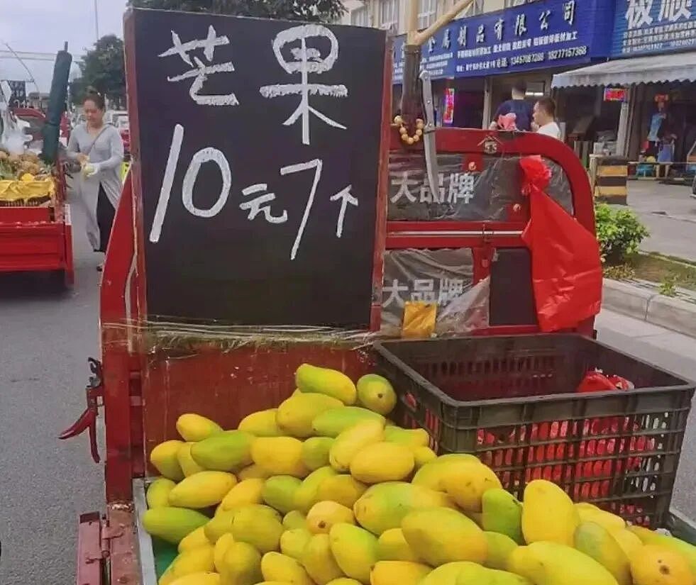 论斤卖的蓝莓，猪都快吃腻了（组图） - 13