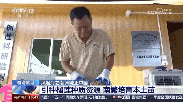 论斤卖的蓝莓，猪都快吃腻了（组图） - 14