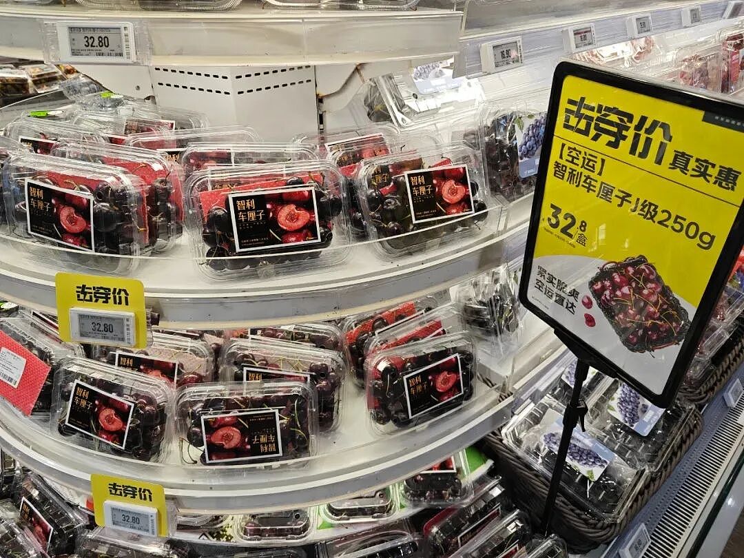 论斤卖的蓝莓，猪都快吃腻了（组图） - 15