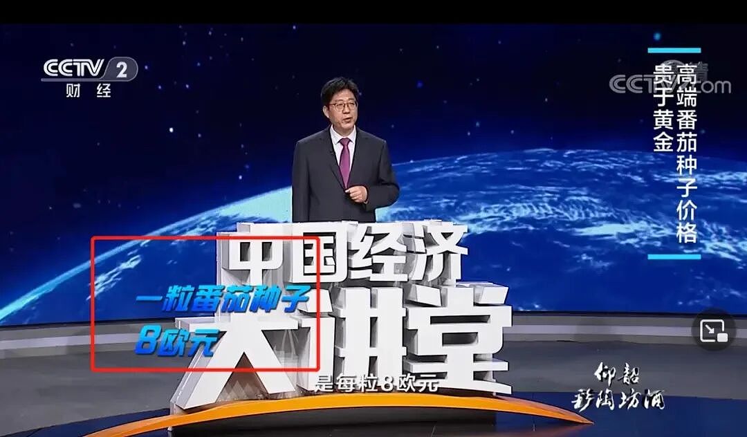 论斤卖的蓝莓，猪都快吃腻了（组图） - 17
