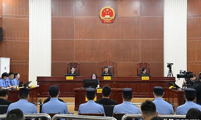 1只就判刑!江苏4名男子为饱口福猎杀两只,价值数十万元 - 2