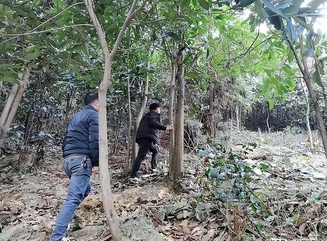 1只就判刑!江苏4名男子为饱口福猎杀两只,价值数十万元 - 4