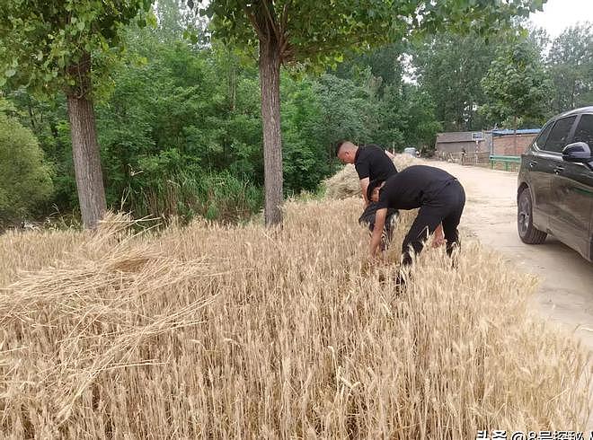 1只就判刑!江苏4名男子为饱口福猎杀两只,价值数十万元 - 11