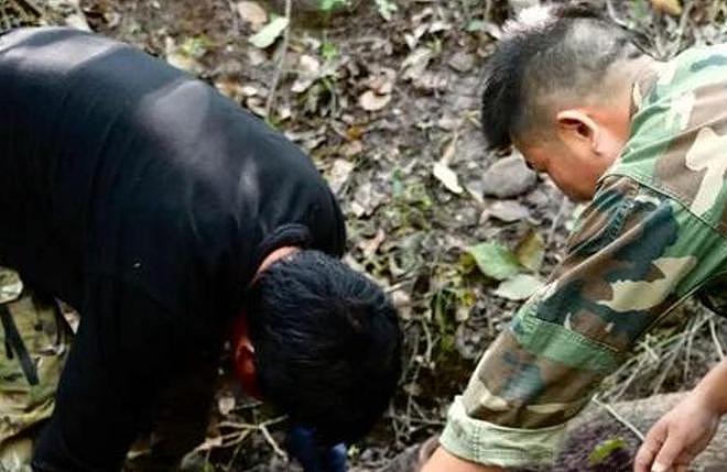 1只就判刑!江苏4名男子为饱口福猎杀两只,价值数十万元 - 16