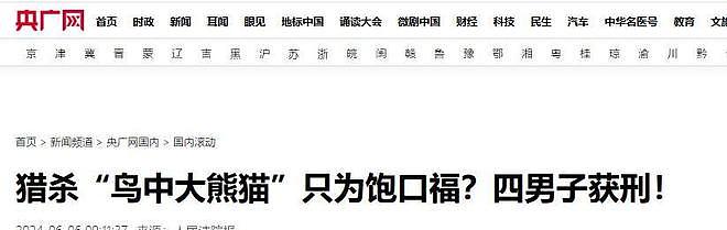 1只就判刑!江苏4名男子为饱口福猎杀两只,价值数十万元 - 29