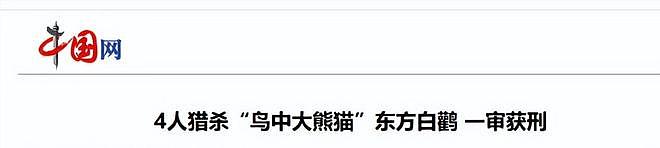 1只就判刑!江苏4名男子为饱口福猎杀两只,价值数十万元 - 30