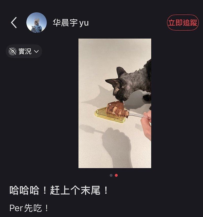 让爱猫舔巧克力影片疯传，华晨宇遭轰无知：想害死猫？ - 2