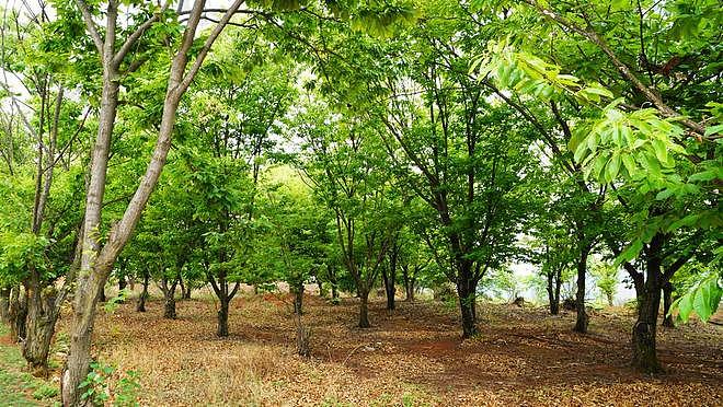 员工被董事长当众训斥后自缢身亡，家属索赔123万，法院判了！ - 2