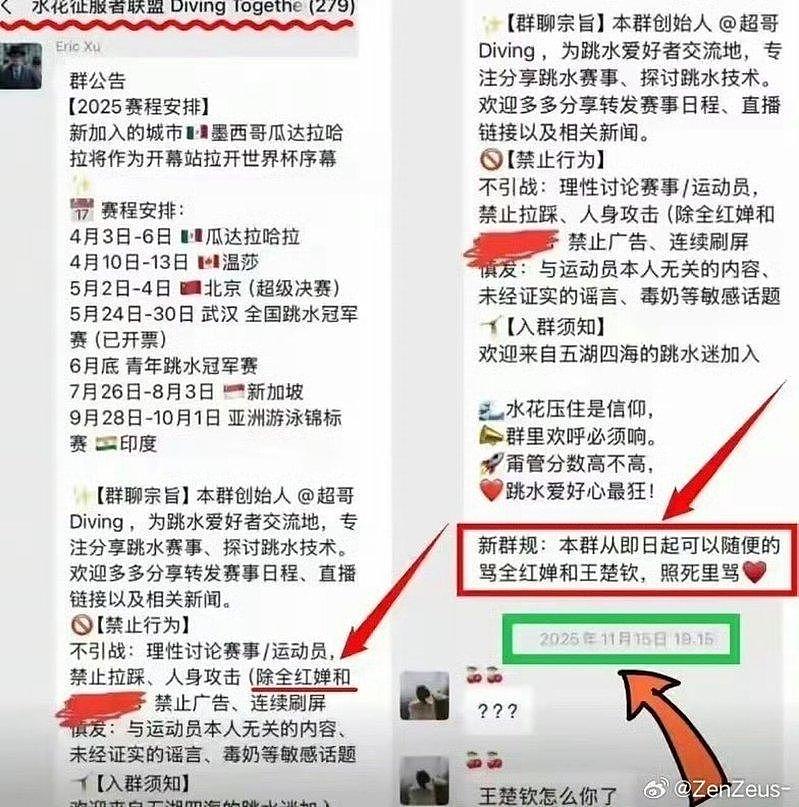 全红婵遭282人群组围猎三年：成员疑含队友及裁判，揭秘体育圈畸形“饭圈”文化（组图） - 10