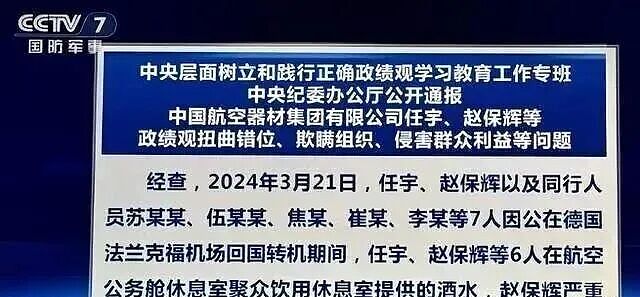 酒后大闹德国机场68分钟!中国央企高管6人被查,特权官威引热议(组图) - 6