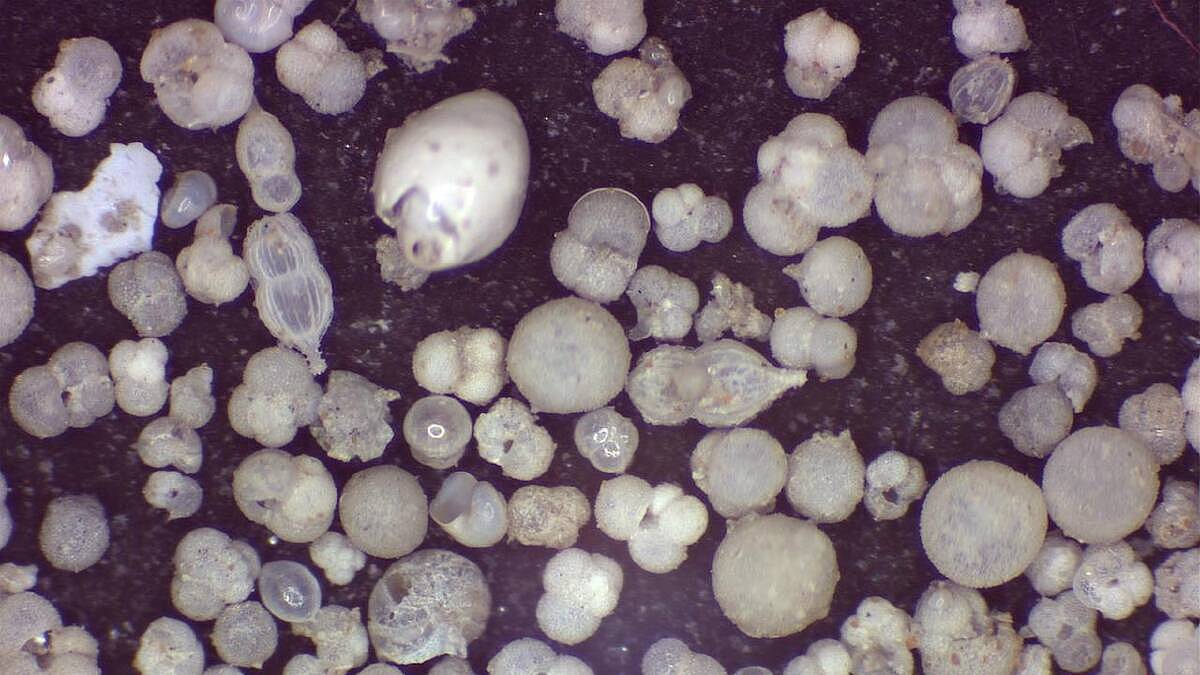十二门徒岩“身世”之谜揭晓！超过1400万年历史，成因是…（组图） - 3