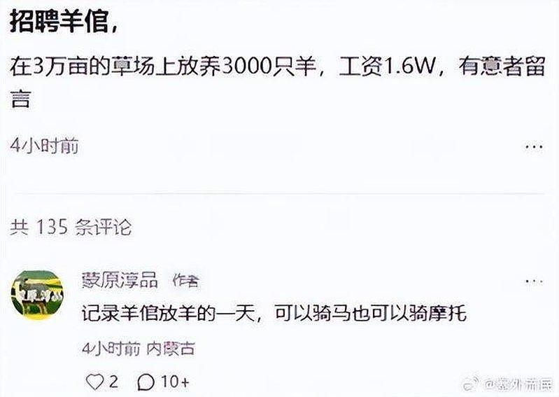 内蒙牧区招人放3000只羊,月薪1.6万包吃住还有WiFi - 2