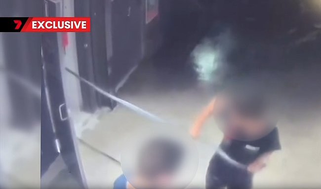 悉尼商场遭青少年持续破坏,损失数百万!保安驱赶无效,警方与学校也不管(组图) - 2
