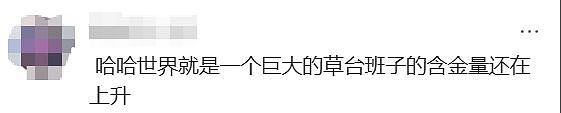 姚晨巴黎世家广告翻车！被“巴黎蔡家”笑不活了（组图） - 11