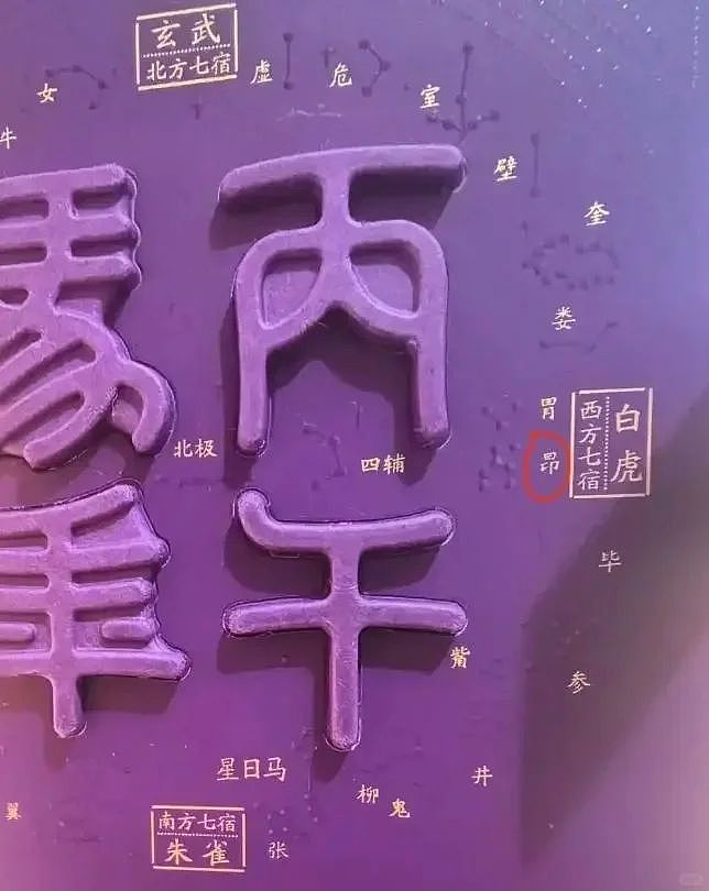 姚晨巴黎世家广告翻车！被“巴黎蔡家”笑不活了（组图） - 25