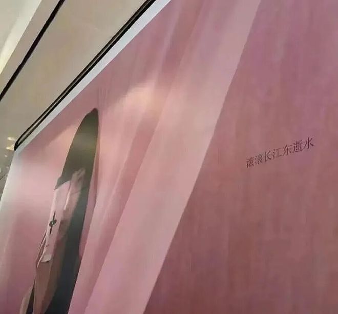 姚晨巴黎世家广告翻车！被“巴黎蔡家”笑不活了（组图） - 30
