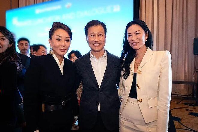 周受资系歪领结走红毯，黄仁勋脱掉皮衣，大佬聚会被邓文迪抢镜（组图） - 31