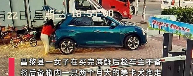 秦皇岛大姐逃单偷狗后续:正脸曝光,被人认出已社死,摊主不和解(组图) - 8