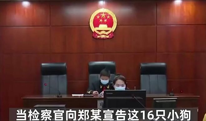 秦皇岛大姐逃单偷狗后续:正脸曝光,被人认出已社死,摊主不和解(组图) - 22