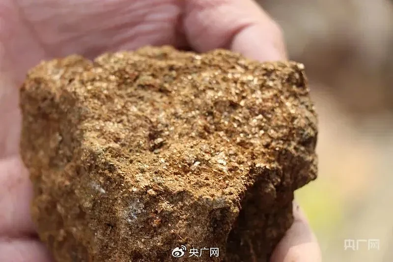大连8岁男孩爬山发现金矿线索！后续来了（组图） - 1