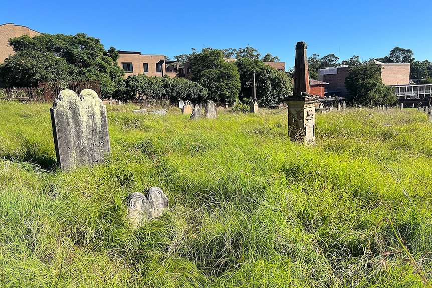 澳洲最古老墓地沦为垃圾场?修复面临$1000万缺口,华人牧师率移民出手相助 - 3