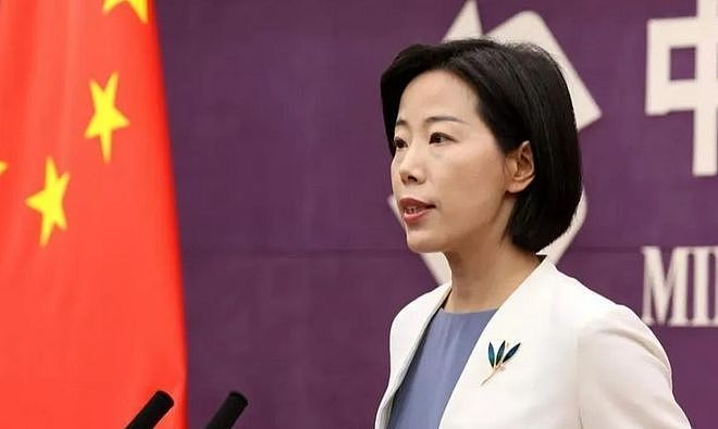 欧盟对中企下手,第2天就收到中国“回礼”,捷克一国就独占4家(组图) - 3