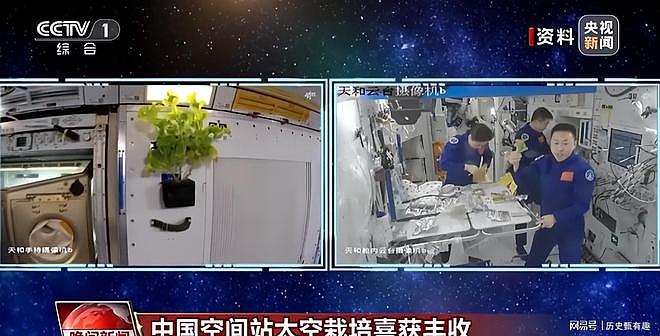 中国再破世界第一！化学合成粮食即将量产，不用种地粮食自由了（组图） - 1